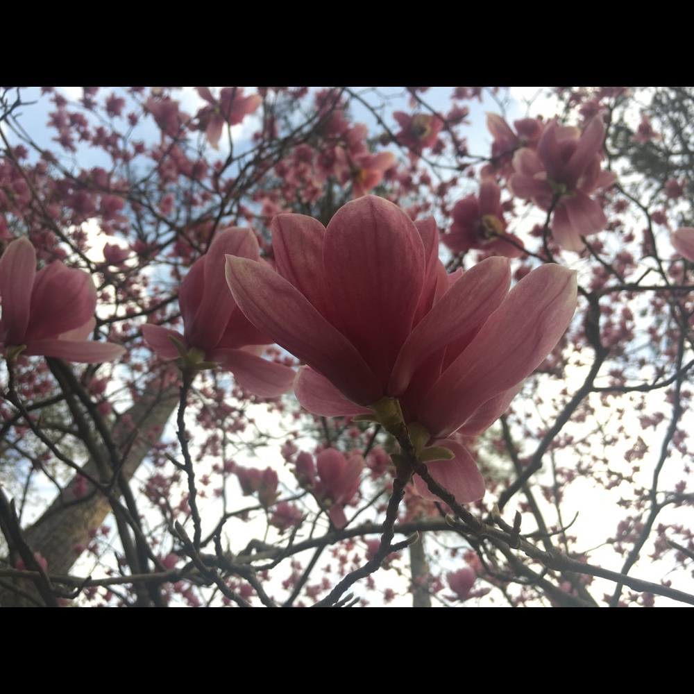 Meet your Posher, Katharine